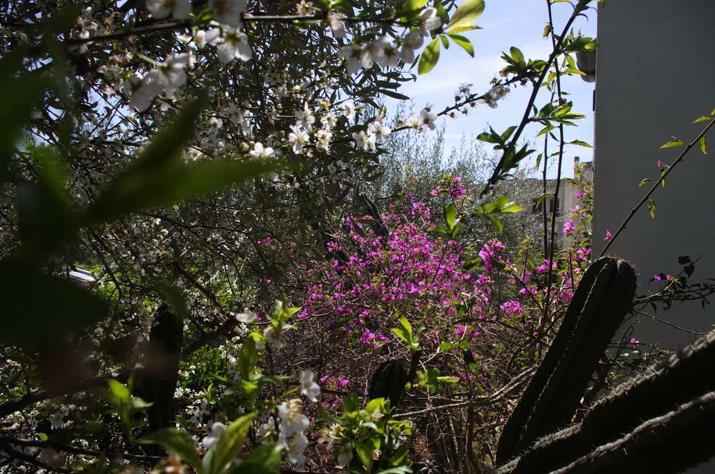 La Piccola Locanda Μόντικα Εξωτερικό φωτογραφία